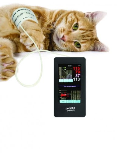cat-with-pmgii.jpg