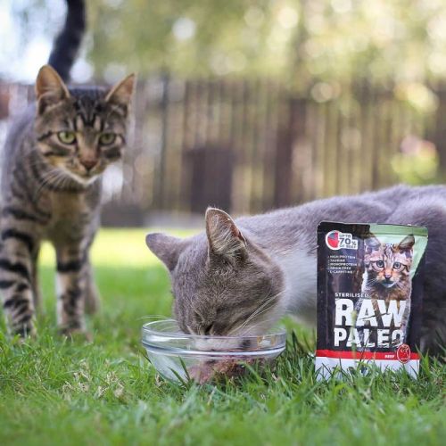 RAW PALEO Cat Carne de vită sterilizată 100 g Vet-Expert raw-paleo-sterilised-beef-mokra-karma-dla-kotow-sterylizowanych-wolowina-pakiet-12x100g (1).jpg