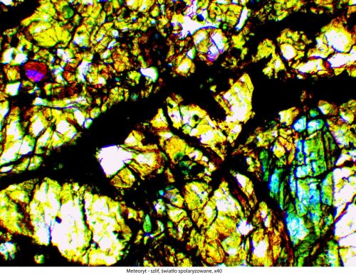 Microscop Delta Optical Genetic Pro Bino Delta-Optical-Genetic-Pro-Bino-7.jpg