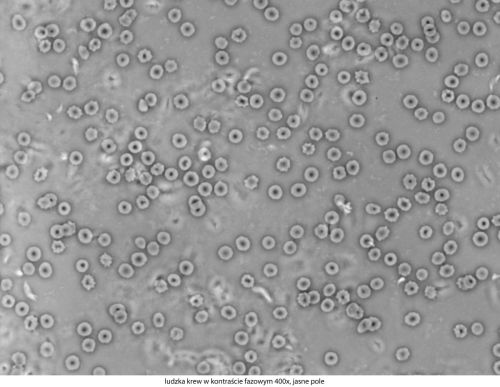 Microscop Delta Optical Genetic Pro Bino Delta-Optical-Genetic-Pro-Bino-6.jpg