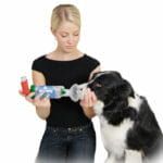 AeroDawg inhalator pentru câini mari kobieta-stosuje-aerodawg-na-swoim-psie-1-150x150.jpg