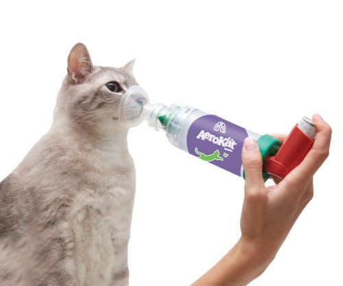 AeroCat inhalator pentru pisici zastosowanie-aerokat-na-kocie.jpg