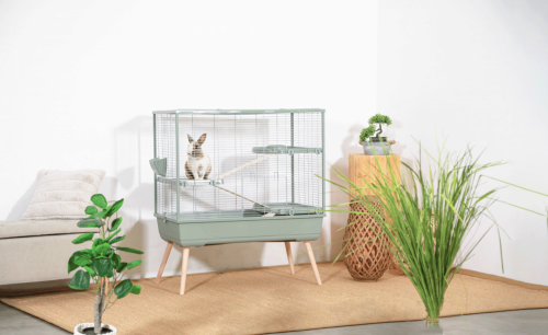 Cușcă NEOLIFE 100 XL pentru iepure Zolux NEOLIFE-100-XL-zielona-1.png