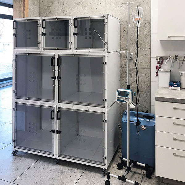 Set mare cu 7 cuști pentru animale