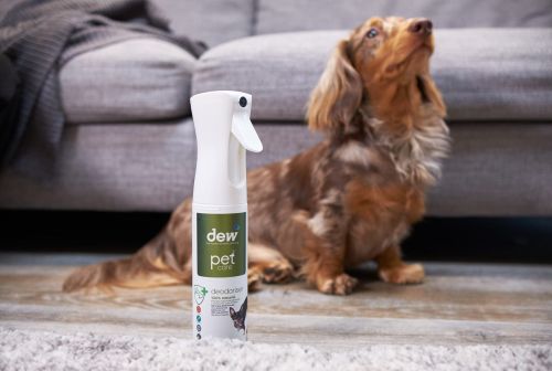 Deodorant pentru animale de companie Dew 300 ml dezodorant-dla-zwierzat-300-ml_24561_6.jpg
