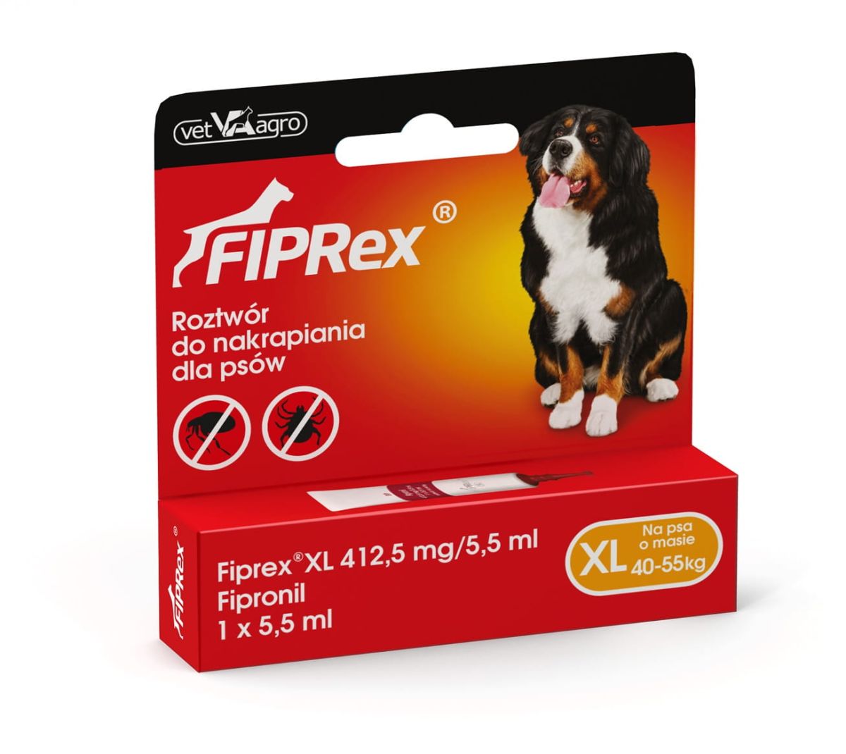 1580373215_fiprex_jedynki_20192.jpeg