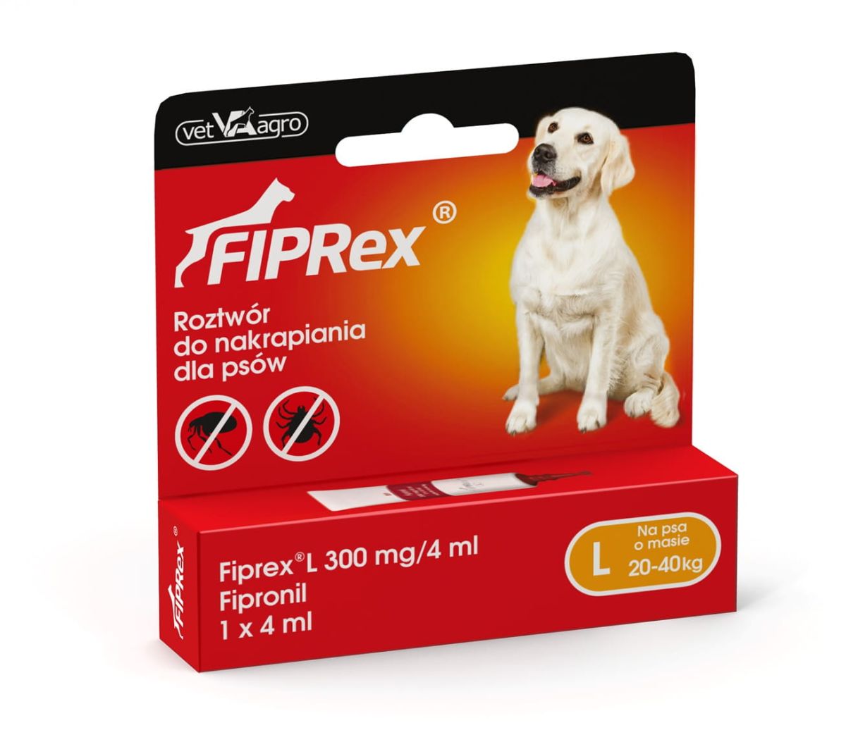 1580373119_fiprex_jedynki_20191.jpeg
