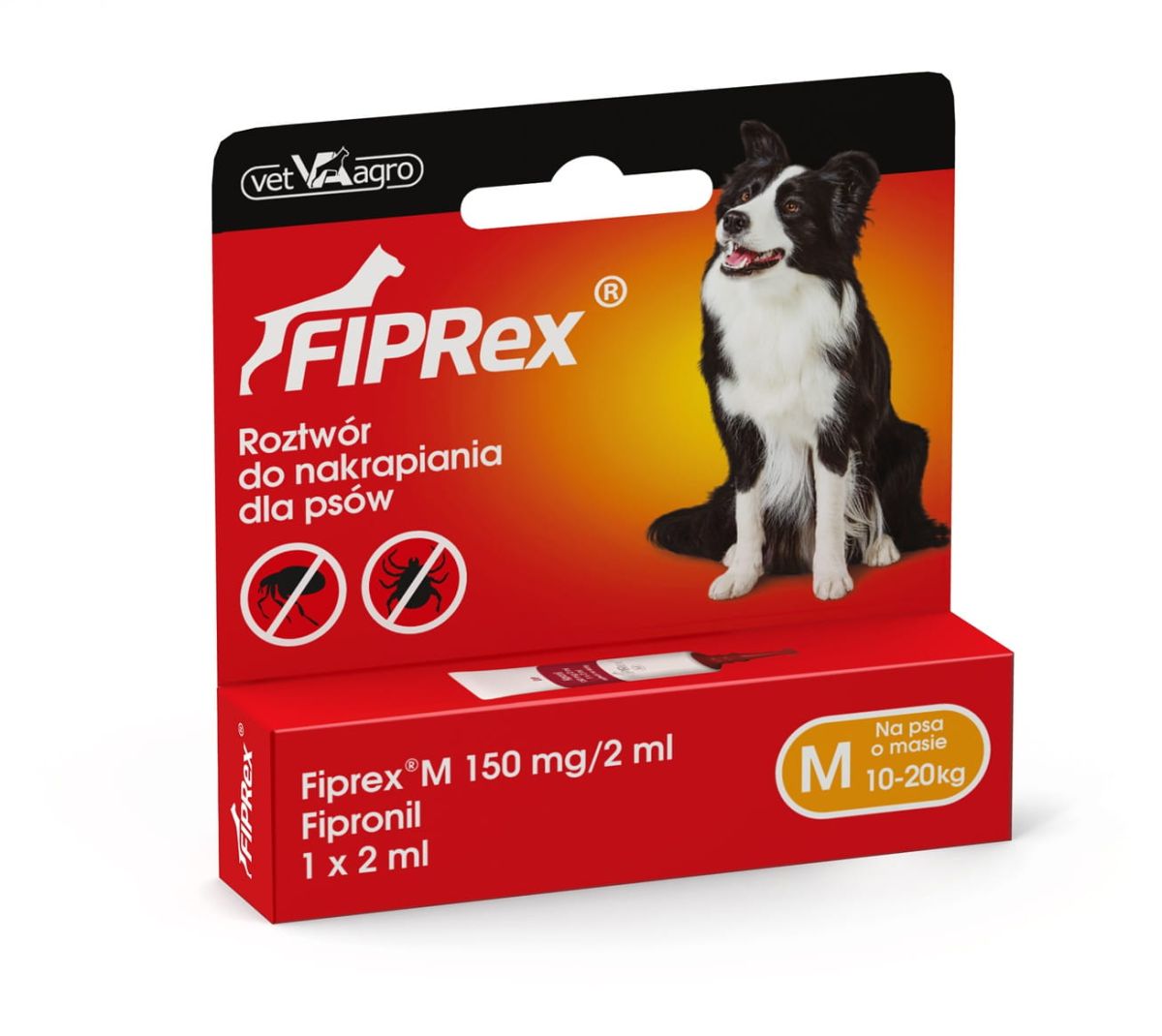 1580373143_fiprex_jedynki_20194.jpeg