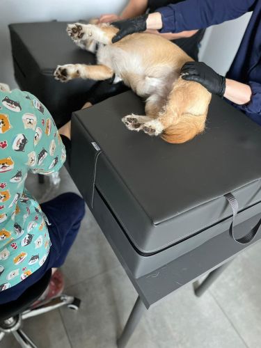 Saltea test Echo gri închis Echo mattress VS9-min.jpg