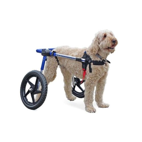 Scaun cu rotile pentru câini din rase mari Walkinpets walkinpets-wozki-inwalidzkie-duzy-rozmiar-32-68-kg (1).jpg