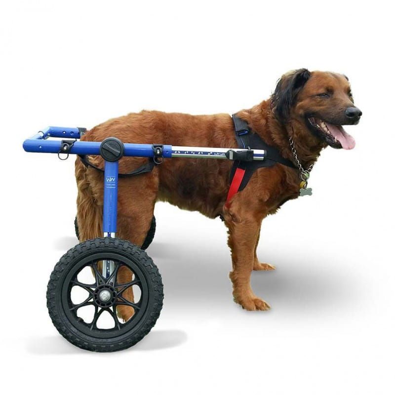 Scaun cu rotile pentru câini din rase mari Walkinpets