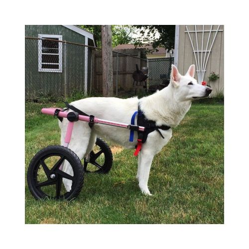 Scaun cu rotile pentru câini din rase mari Walkinpets walkinpets-wozki-inwalidzkie-duzy-rozmiar-32-68-kg (3).jpg