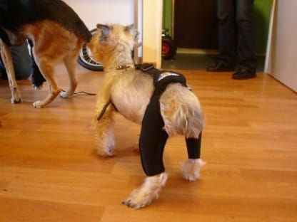 Pantaloni scurți de reabilitare cu sistem de conectare DSC02020_bluolpta.jpg