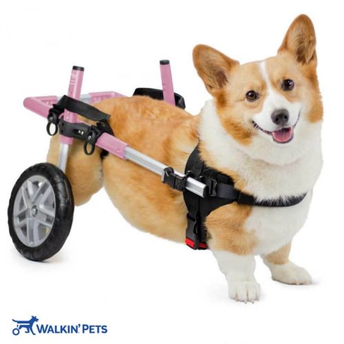 CORGIE Scaun cu rotile pentru câini Walkinpets walkinpets-wozek-dla-psa-corgie-dla-psow (1).jpg