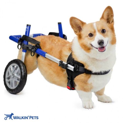 CORGIE Scaun cu rotile pentru câini Walkinpets walkinpets-wozek-dla-psa-corgie-dla-psow.jpg