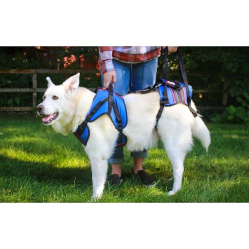 Walkinpets ham de reabilitare spate pentru câini walkinpets-szelki-rehabilitacyjne-combo-dla-psow (1).jpg