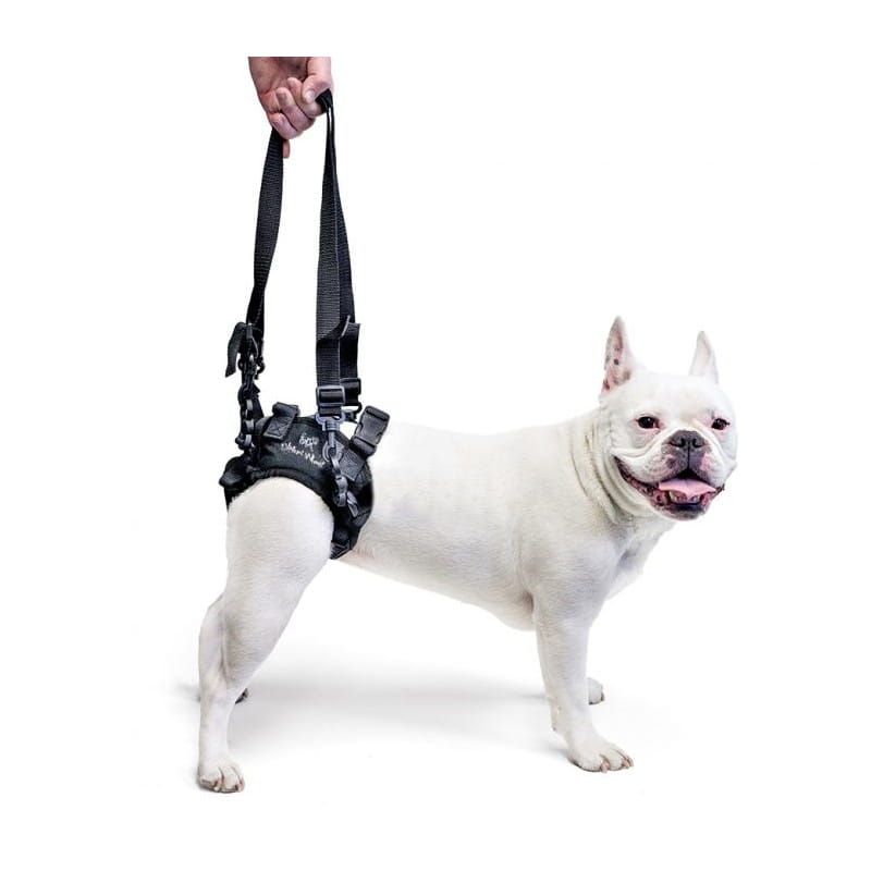 Walkinpets harnașament de ridicare a câinelui din spate