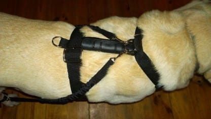 Expander 2 buc. set ekspander-dla-psa-5.jpg