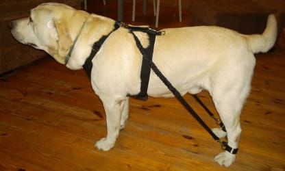 Expander 2 buc. set ekspander-dla-psa-4.jpg