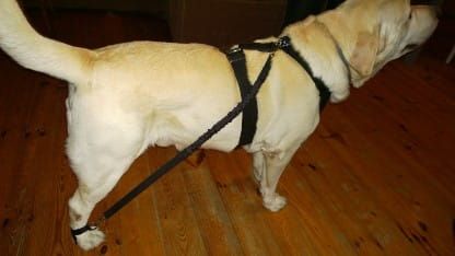 Expander 2 buc. set ekspander-dla-psa-3_j6nuzbh1.jpg