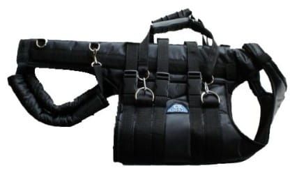Corset toracolombar gorset-dla-psa-piersiowo-l-d-wiowy-corset-for-a-dog_z4r5b01s.jpg