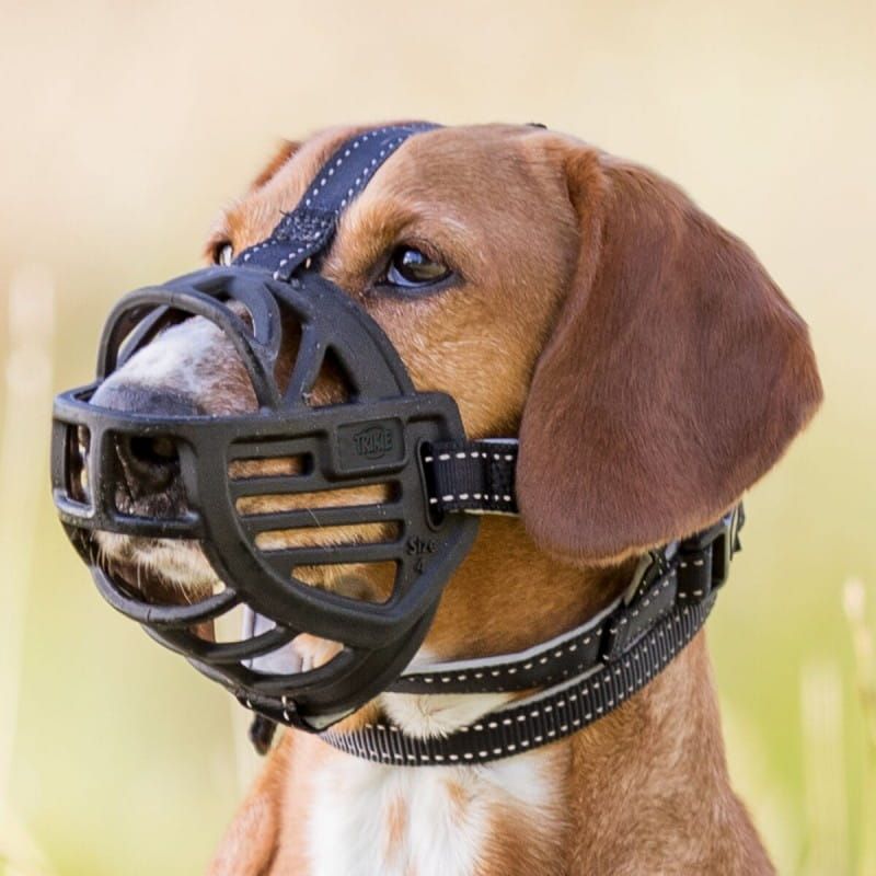Muzzle Flex silicon muzzle