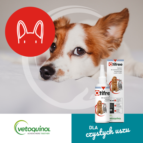 Otifree pentru câini și pisici 01_vetoquinol_2022_SM_post-fb_karuzela_1080x1080_otifree_01.png